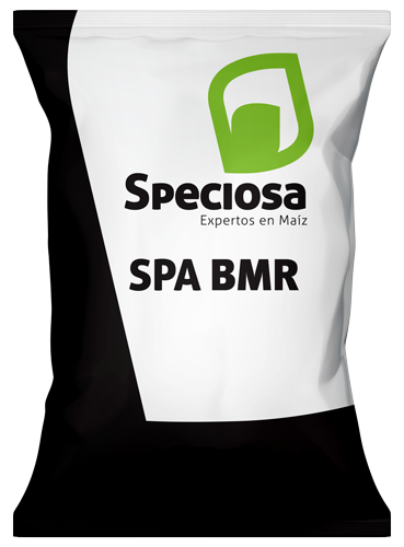 BOLSA SPECIOSA-BMR
